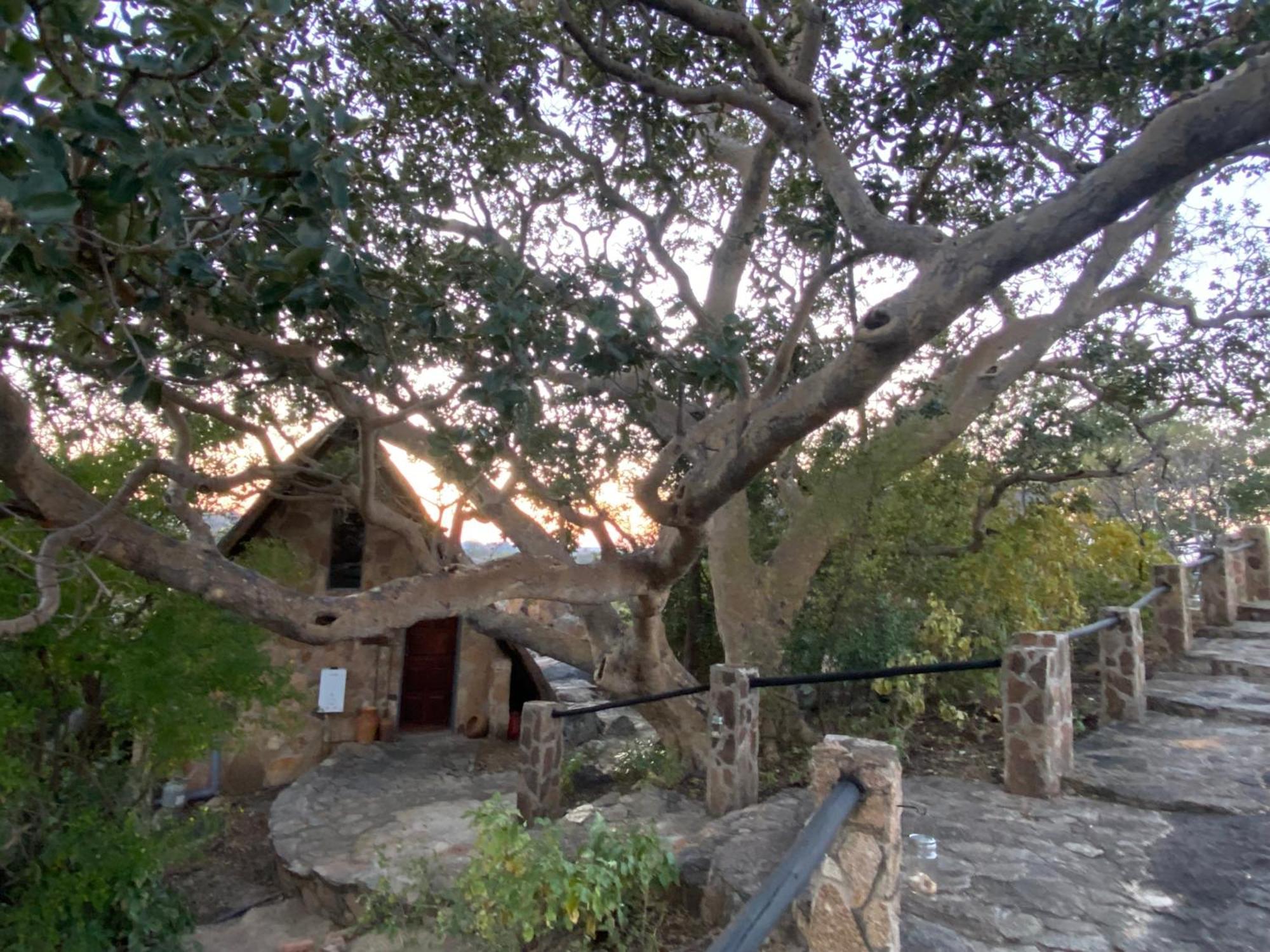 Big Cave Camp Villa Matopos Dış mekan fotoğraf